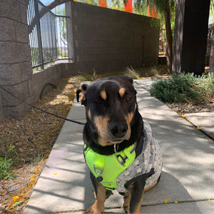 Meet your Posher, Javier